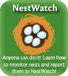 Cornell Nestwatch program website