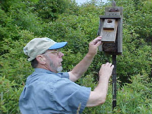 Nest boxes should be monitored regularly