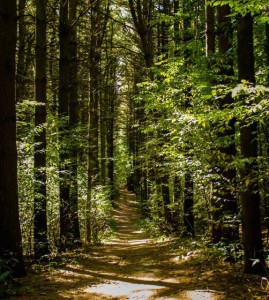 Woldumar Nature Center