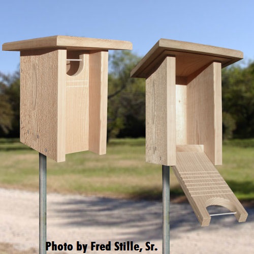 Peterson style four Pack Cedar Bluebird house nesting box 