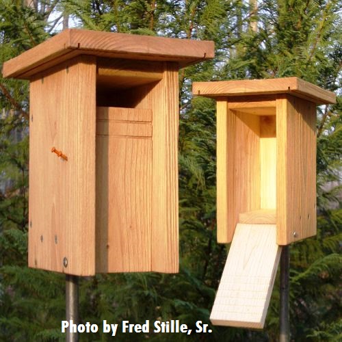Nest Box Plans, Sparrow Resistant Bluebird House Plans