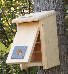 Roosting box for bluebirds (courtesy of Coveside Construction)